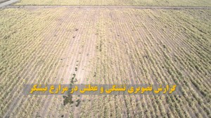 ▫قابل توجه نمایندگان و نهادهای نظارتی؛ *شبیخون در نیشکر هفت تپه/ زنگ خطر برای توسعه نیشکر استان ▫قابل توجه نمایندگان و نهادهای نظارتی؛ *شبیخون در نیشکر هفت تپه/ زنگ خطر برای توسعه نیشکر استان