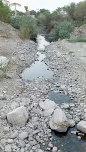▫قابل توجه استاندار و مدیریت سازمان آب و برق خوزستان؛ *?کشاورزان شهرستان هویزه را دریابید* ▫قابل توجه استاندار و مدیریت سازمان آب و برق خوزستان؛ *?کشاورزان شهرستان هویزه را دریابید*